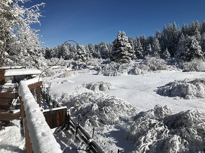 Sweeping view of Trout Creek Meadow from deck, living room and kitchen (north east view)