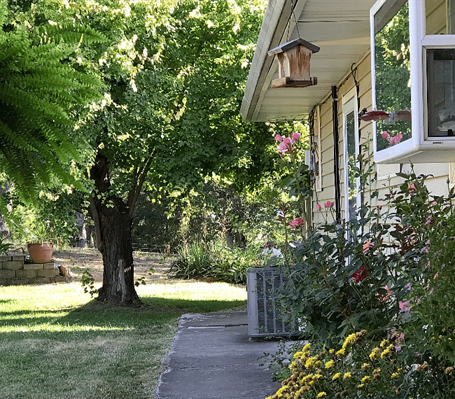 If you love bird watching this is your place. The bird feeders bring in a vast array of northwest birds. The red tail hawks love the tall pines.