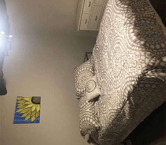 Furnished Finder property 284159_1 photo 9
