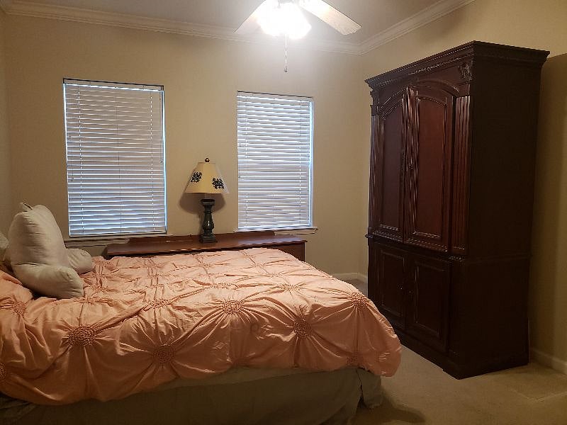 Furnished Finder property 284168_1 photo 13