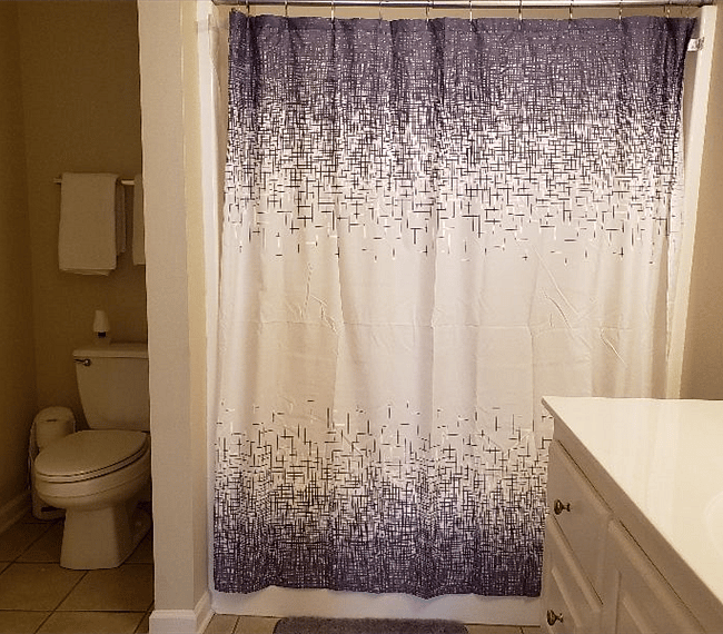 Master bathroom tub/shower combo and toilet area