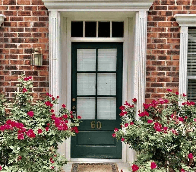 Front door