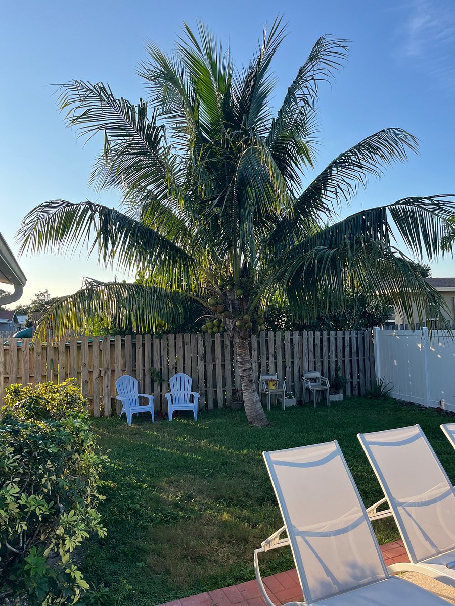 Furnished Finder property 284191_1 photo 20