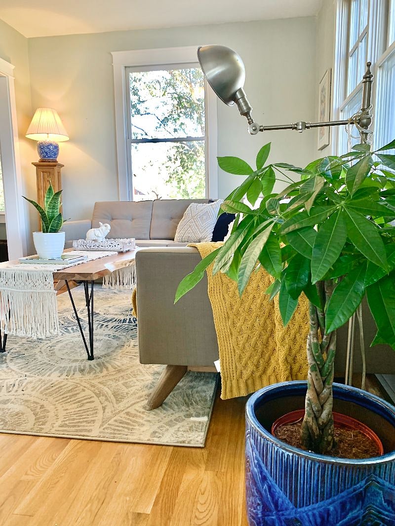 Furnished Finder property 284313_1 photo 15
