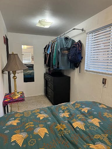 Furnished Finder property 284402_2 photo 6