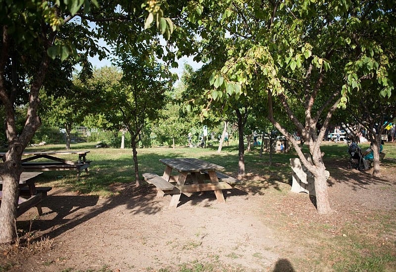 Public Park 1/2 block away.