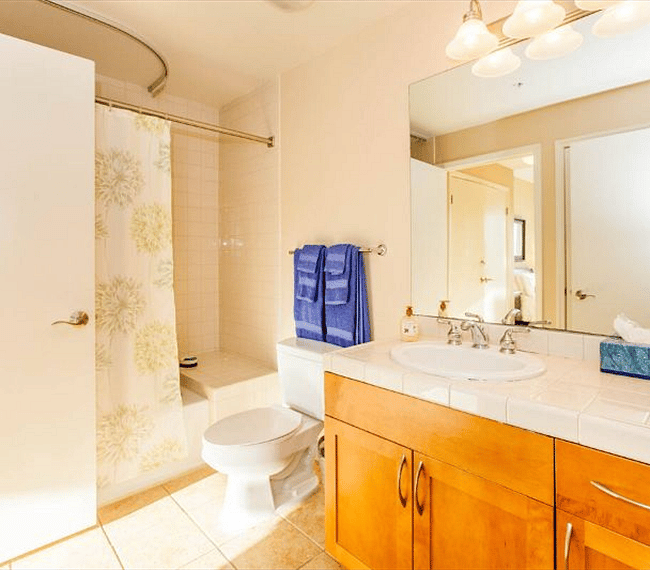 Bathroom, completely remodeled with new tub.