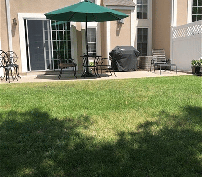 Furnished Finder property 284903_1 photo 9