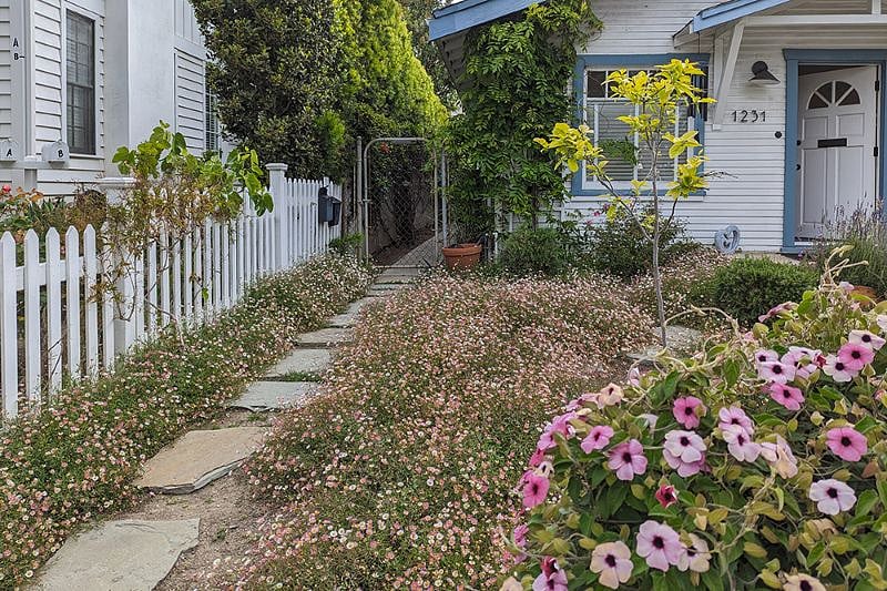 Down the path to the studio.
