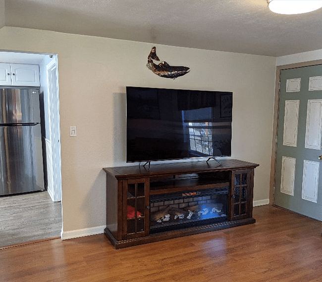 Entertainment stand with electric fireplace and 65" High Def 4K TV