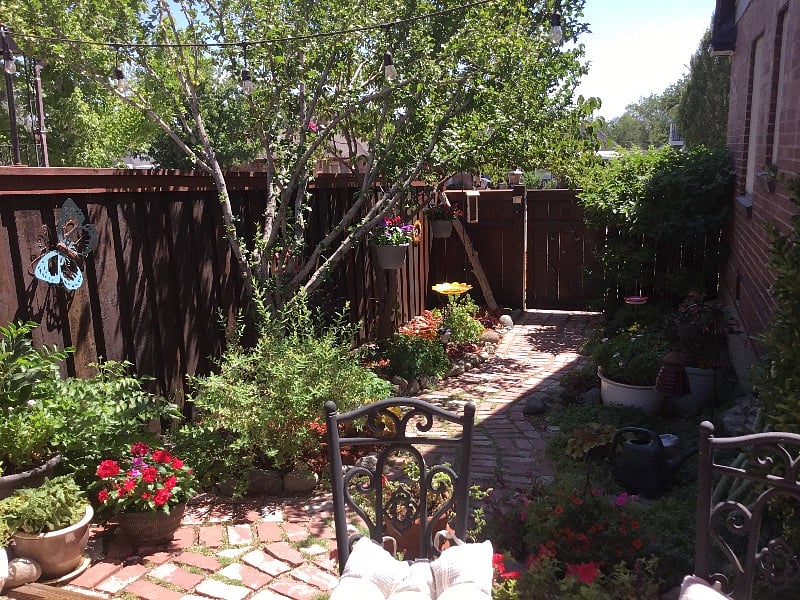 Furnished Finder property 285124_1 photo 17