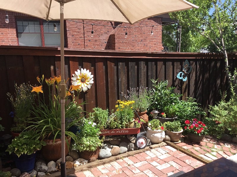 Furnished Finder property 285124_1 photo 18