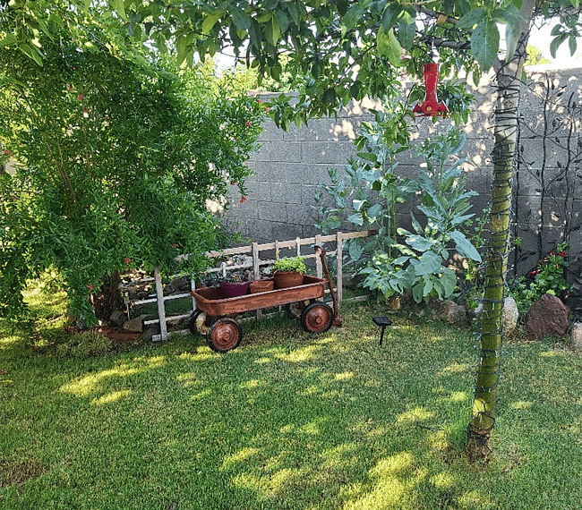 Furnished Finder property 285315_1 photo 23