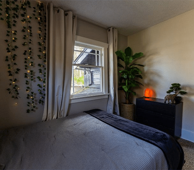 Furnished Finder property 285414_1 photo 27