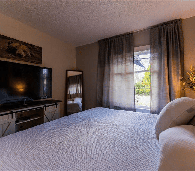 Furnished Finder property 285414_1 photo 23