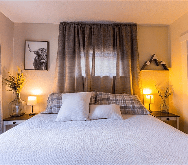 Furnished Finder property 285414_1 photo 22