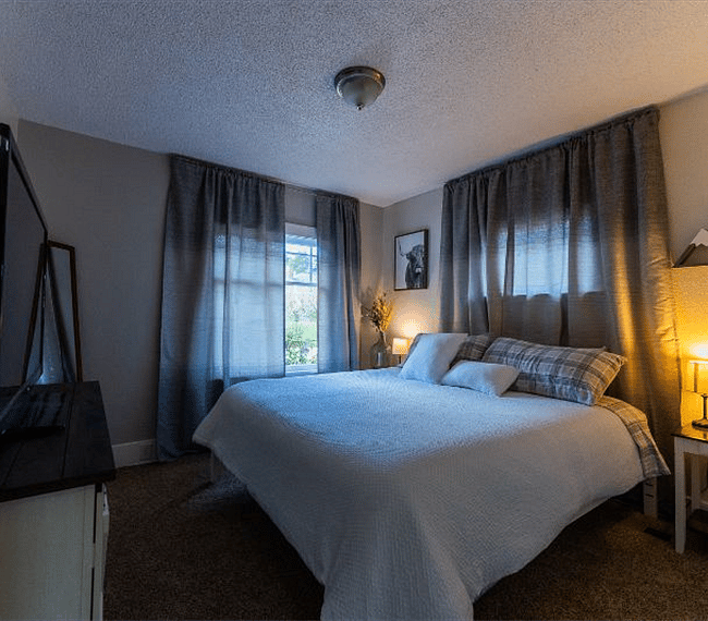 Furnished Finder property 285414_1 photo 21
