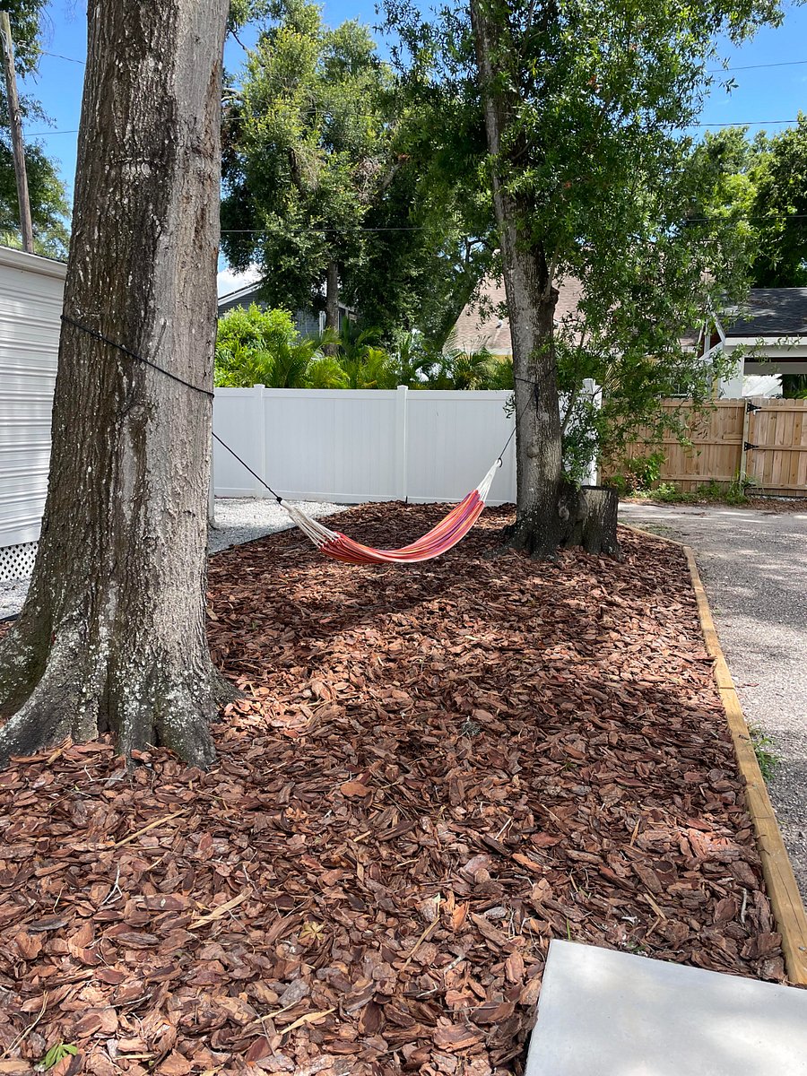Recently remodeled yard space