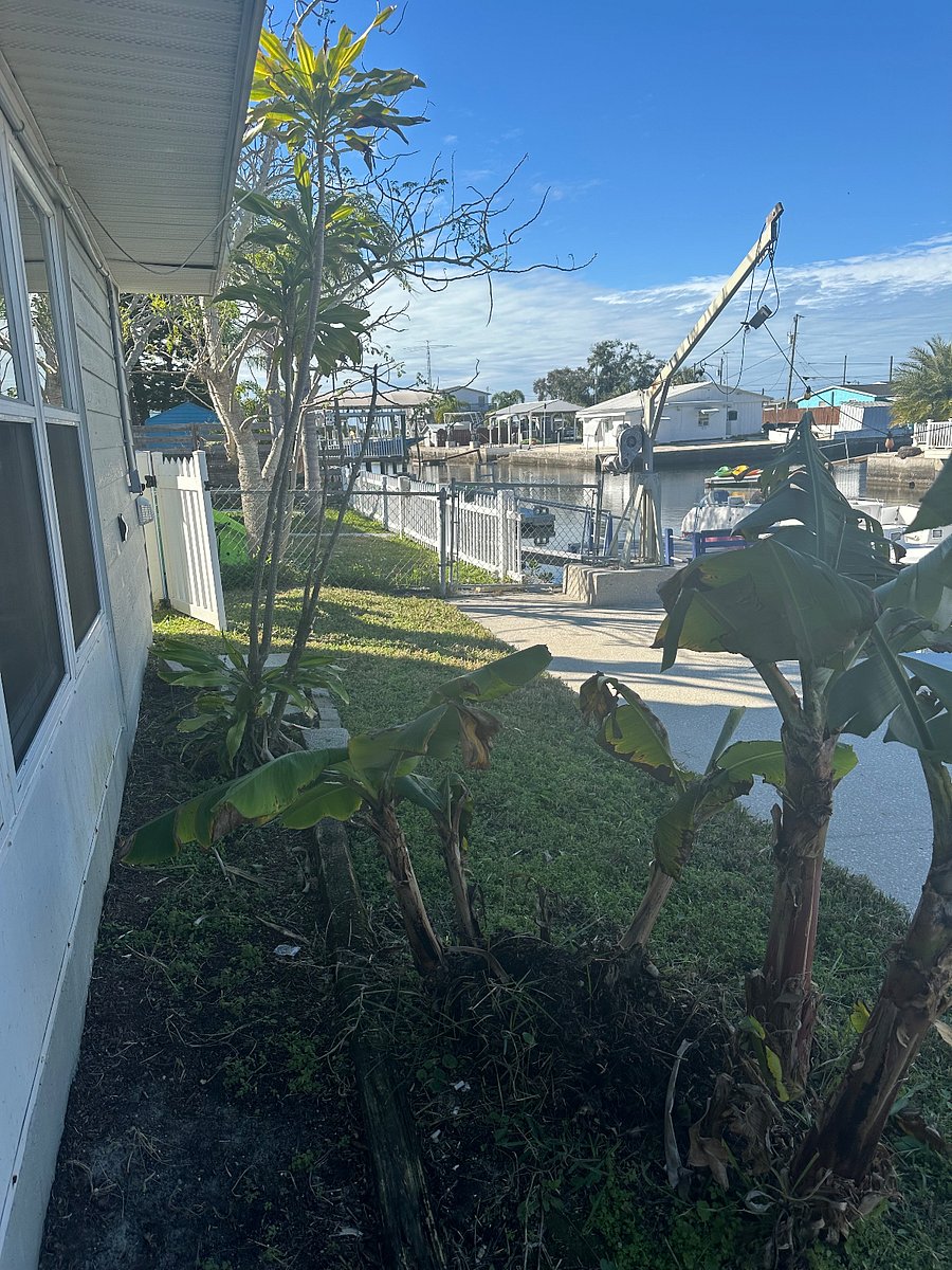 Furnished Finder property 285653_1 photo 11