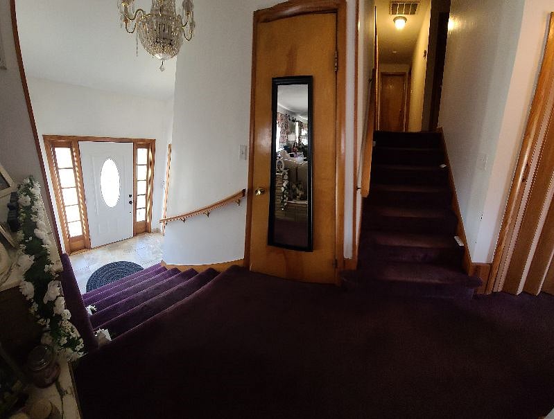 Furnished Finder property 285706_1 photo 37