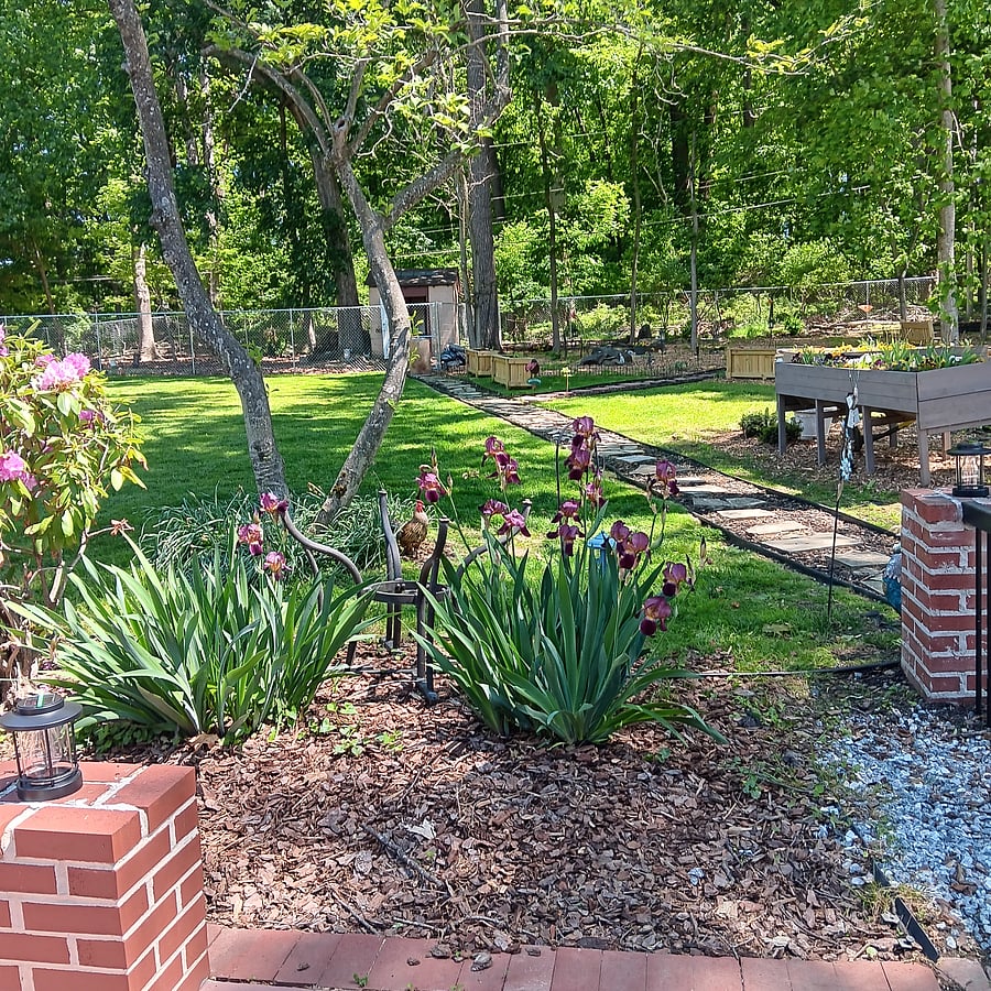 Furnished Finder property 285777_1 photo 18