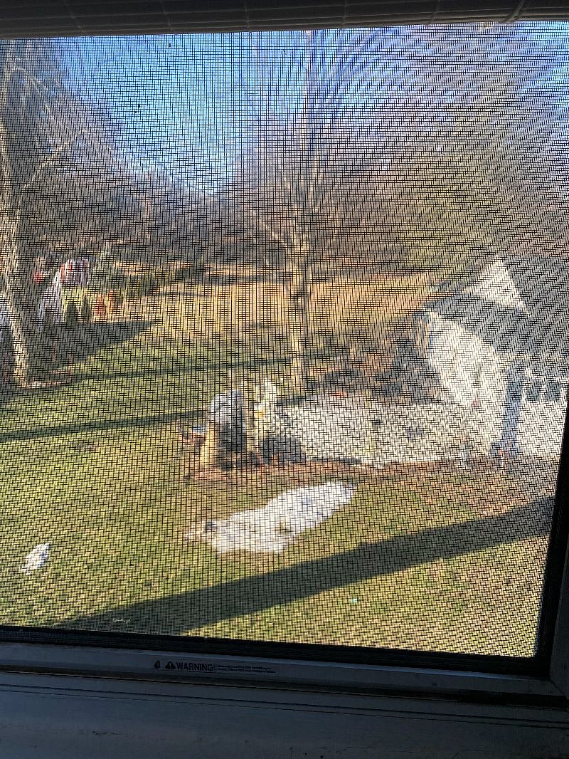 back yard with seating and gas grill  nearly an acre of land