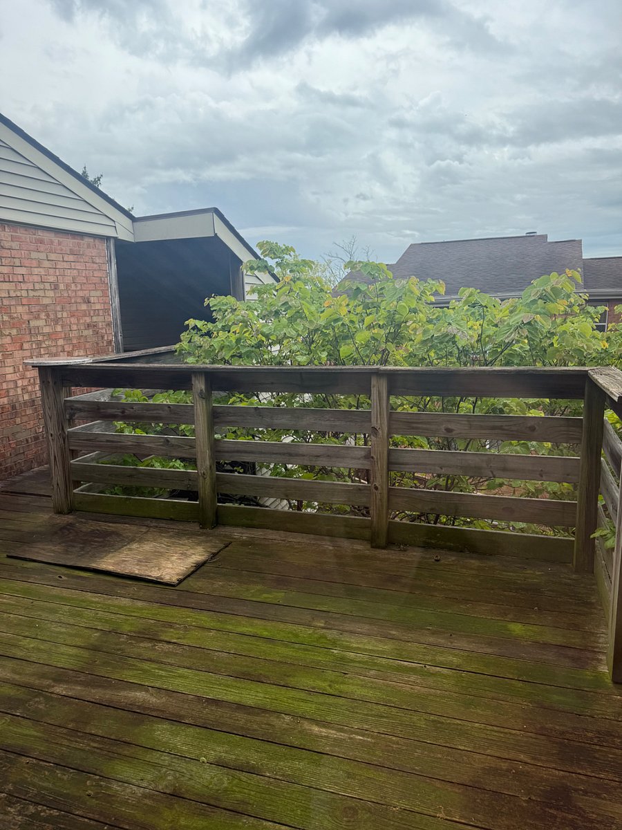 Furnished Finder property 285824_3 photo 5