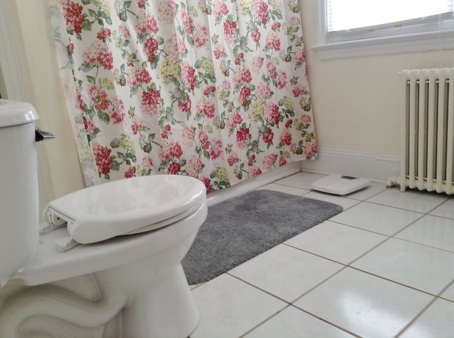 Furnished Finder property 285874_3 photo 10