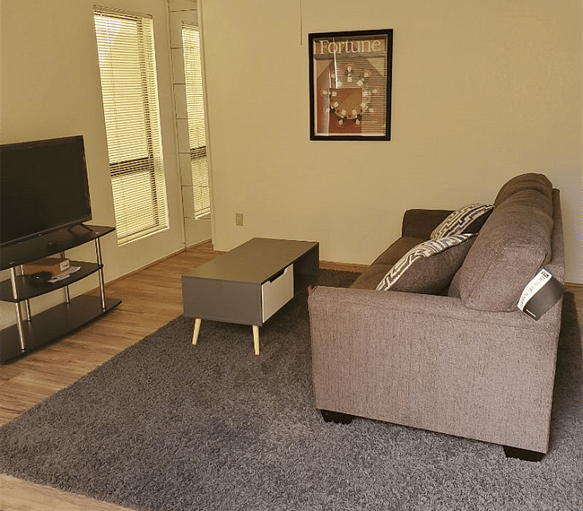 Living room area with new couch and new TV.