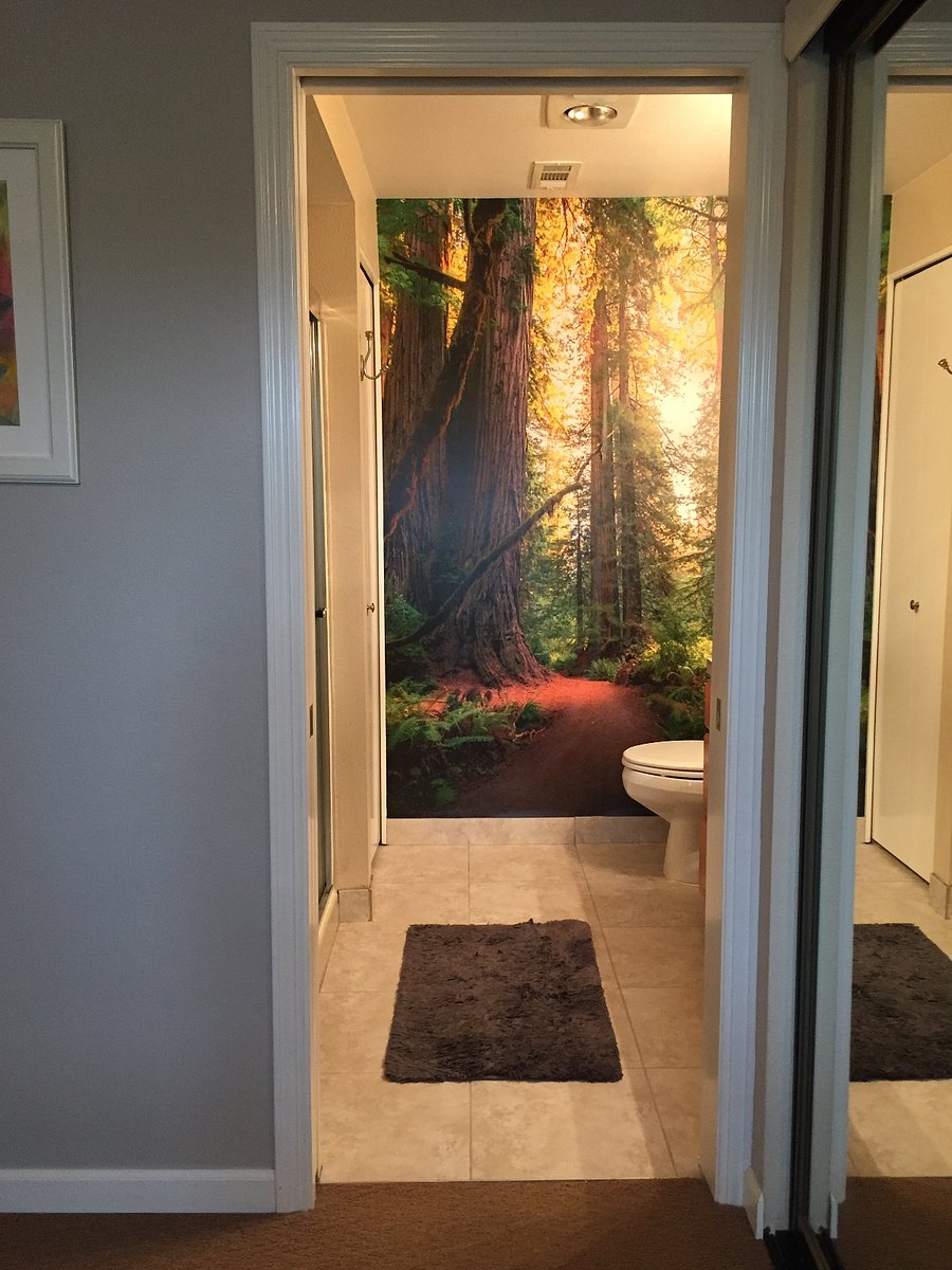 Furnished Finder property 286083_1 photo 23