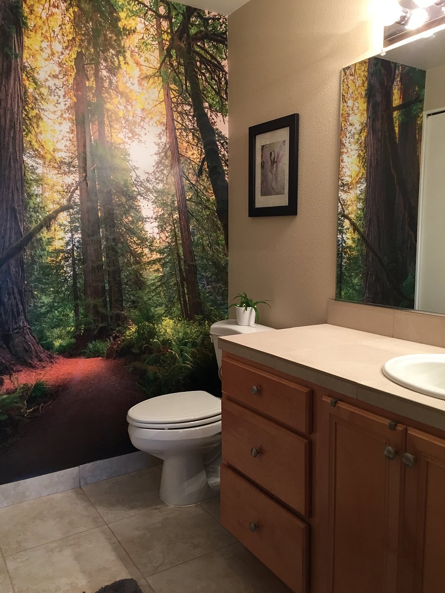 Furnished Finder property 286083_1 photo 24