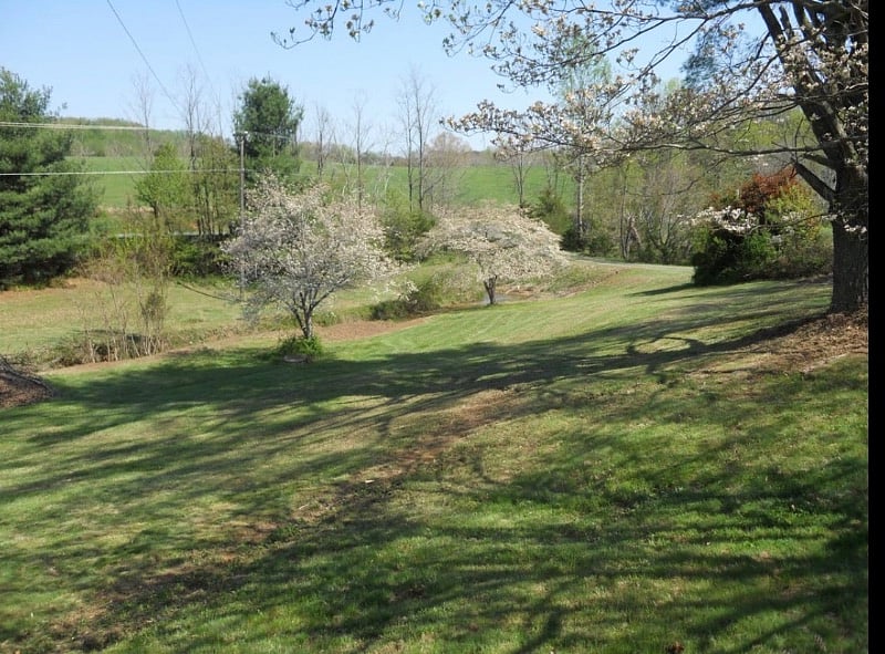 Front yard in the spring