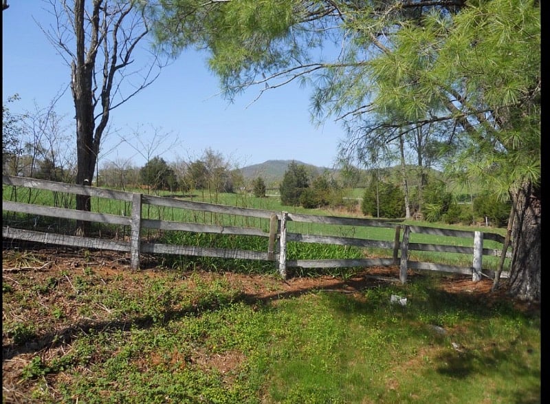 Mountain views from the side yard
