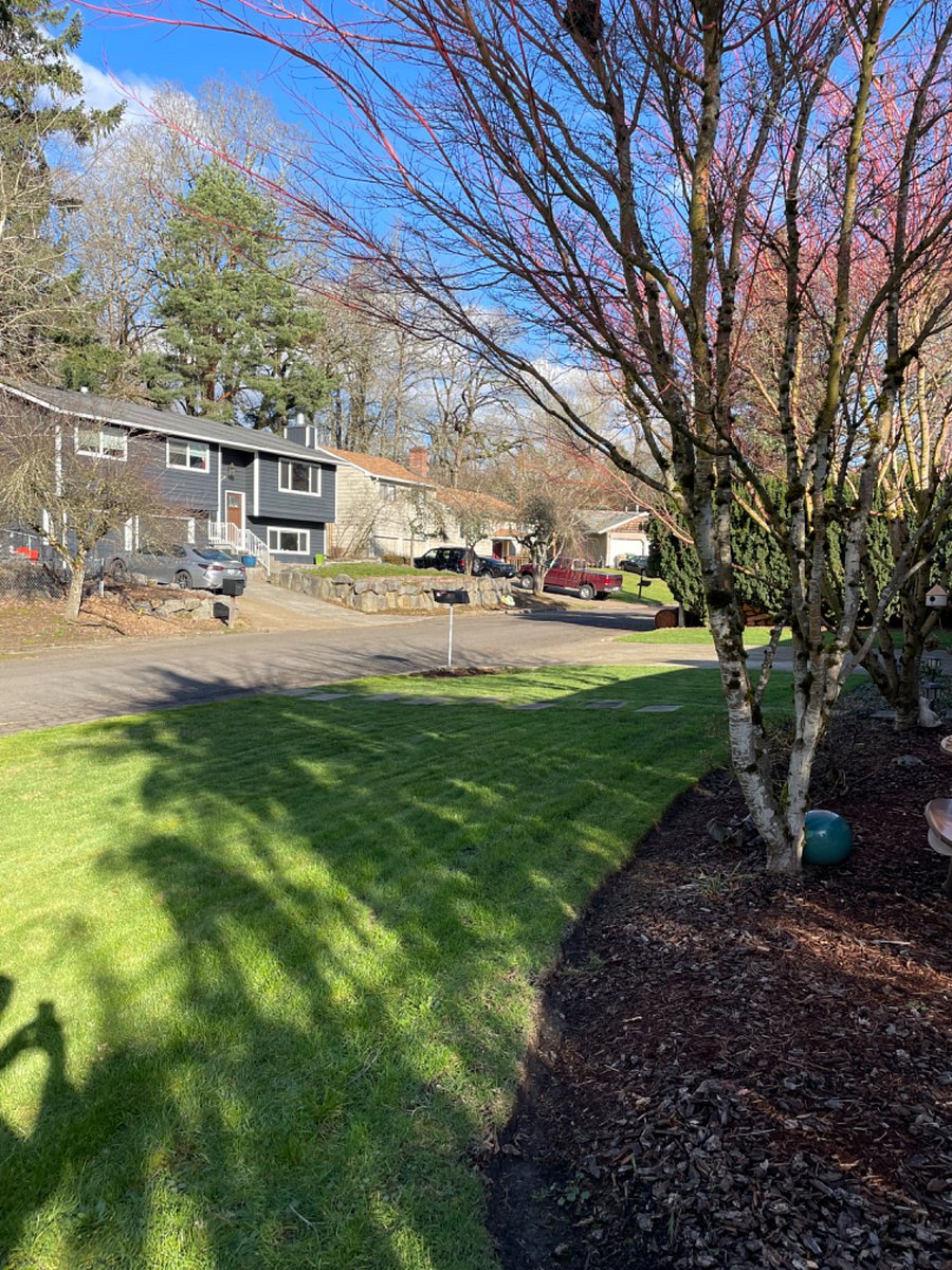 Furnished Finder property 286284_1 photo 17