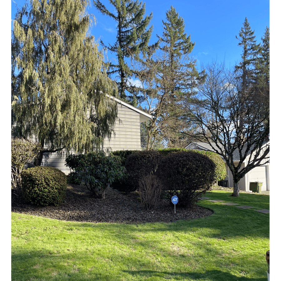 Beautiful tree lined neighborhood with walking paths.