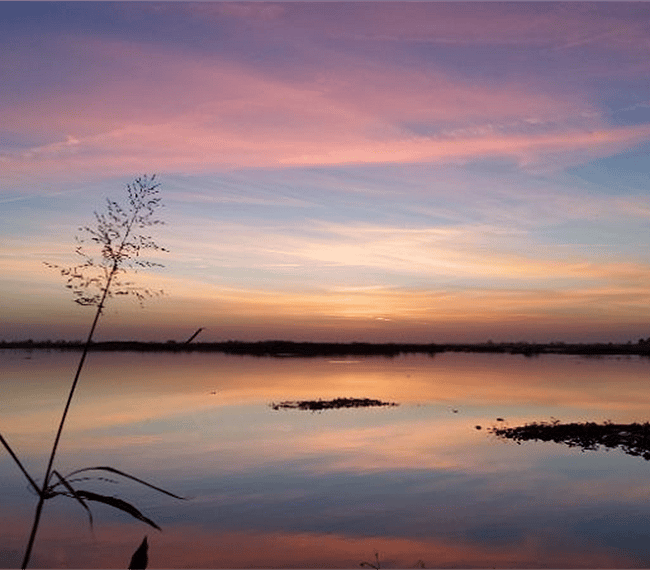 Sunset at Nearby lake