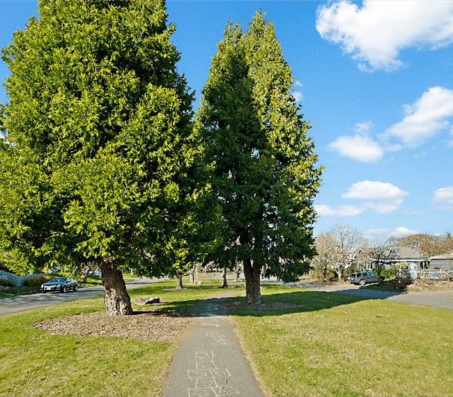 Walking path 1 block away.