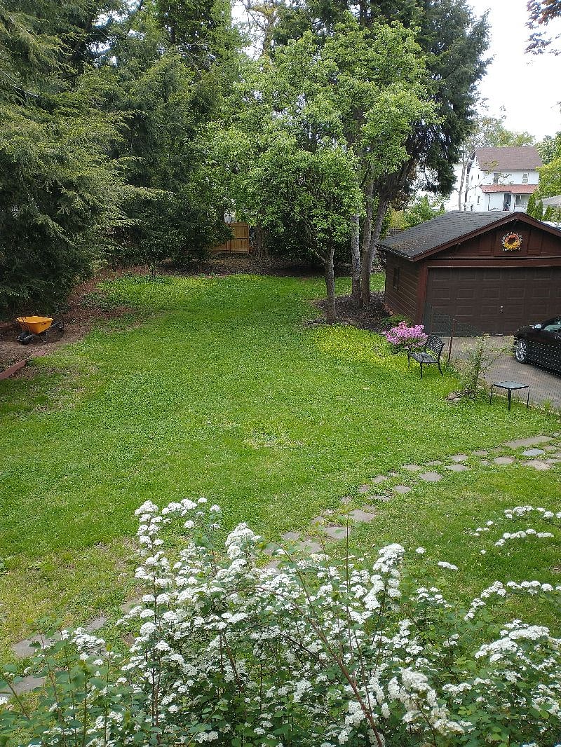 Back yard in spring.
