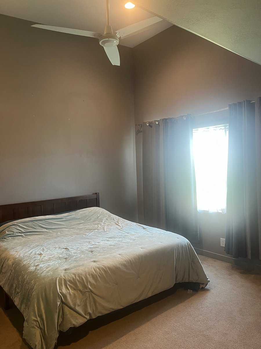 Furnished Finder property 286368_1 photo 6