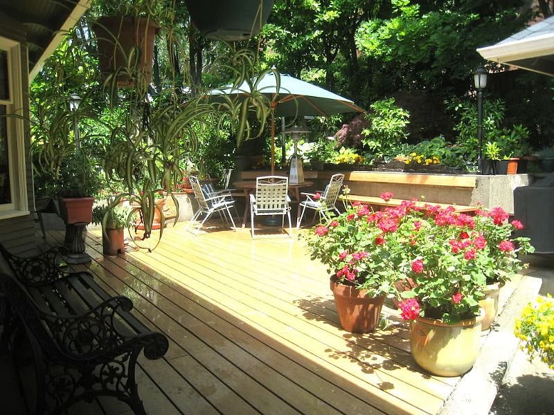 Relax in the back yard and enjoy the large fish pond. We reserve the right to "reserve" the space for private use on the rare occasion we'll be entertaining.