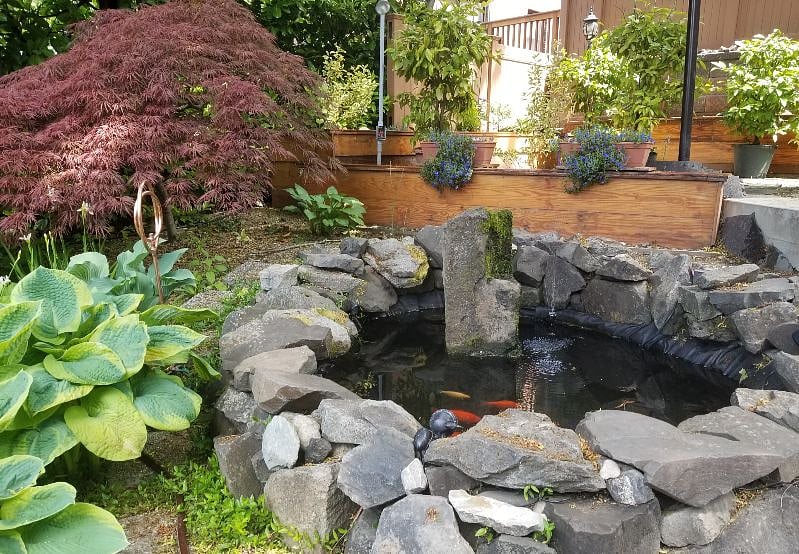 There's another seating area beyond fish pond