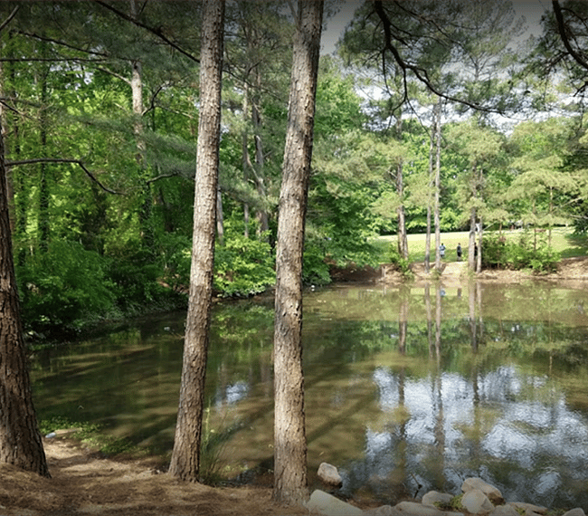 Short walk to Powell Drive Park