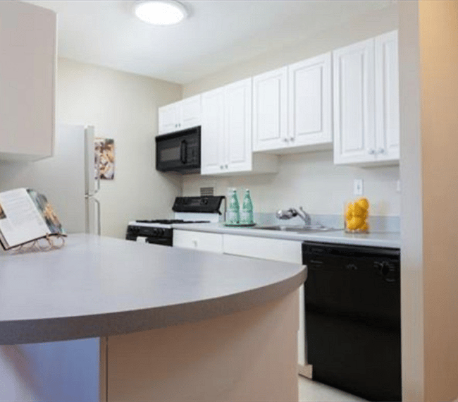 Furnished Finder property 286671_1 photo 4