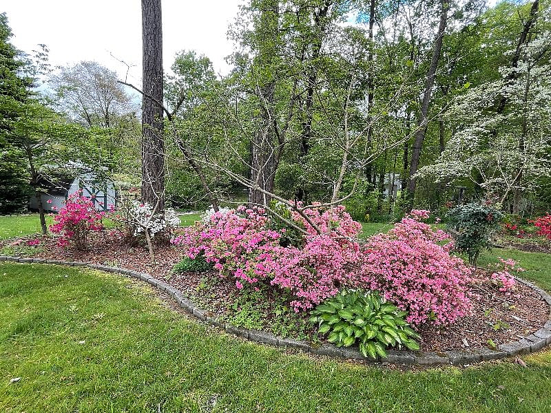 Furnished Finder property 286697_1 photo 18