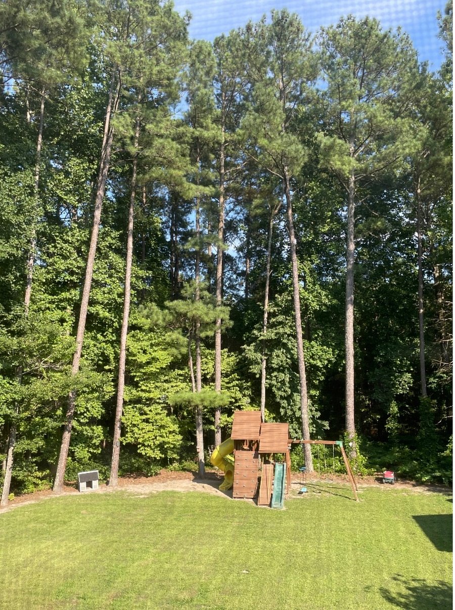 View from window of fenced back yard.