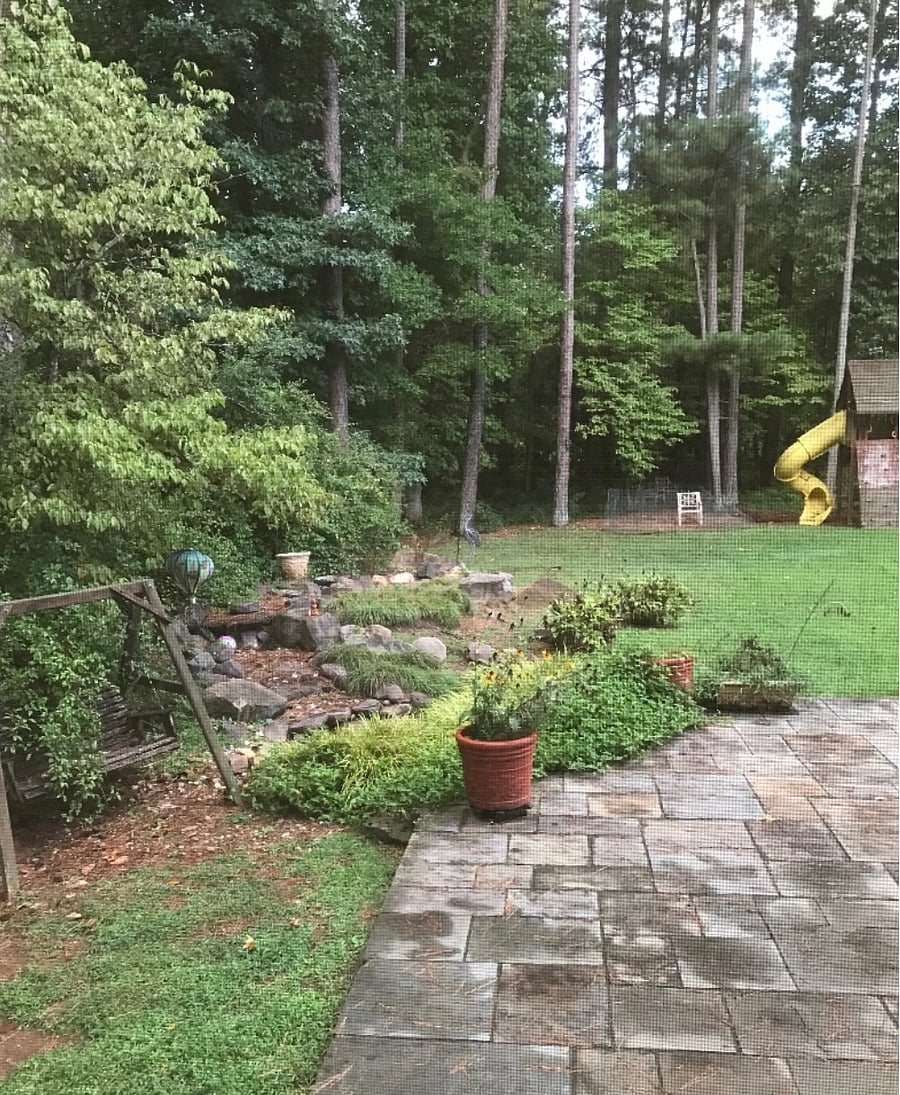 Another view of yard
