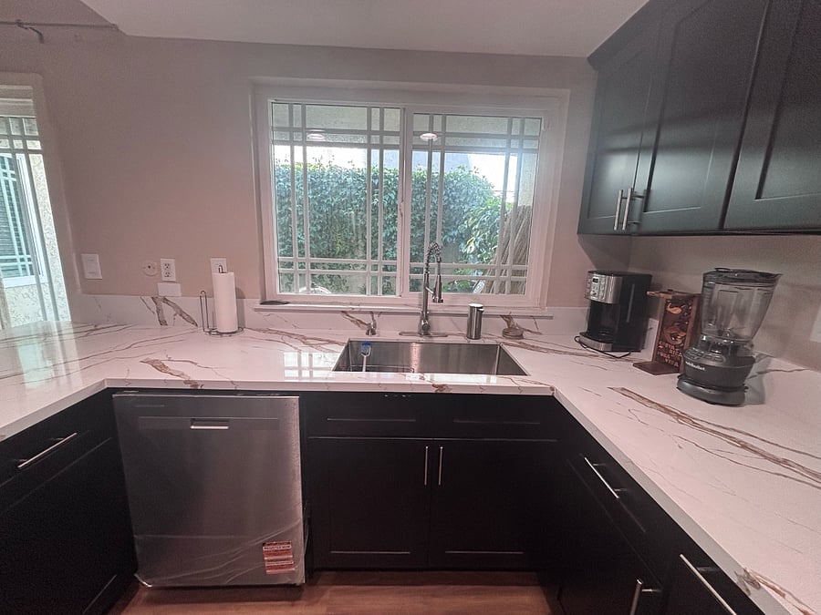 Brand new sink and dishwasher