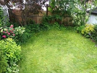 Back yard view from the deck. Fenced for your dog.