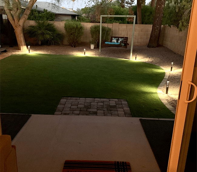 Night life in the yard.
