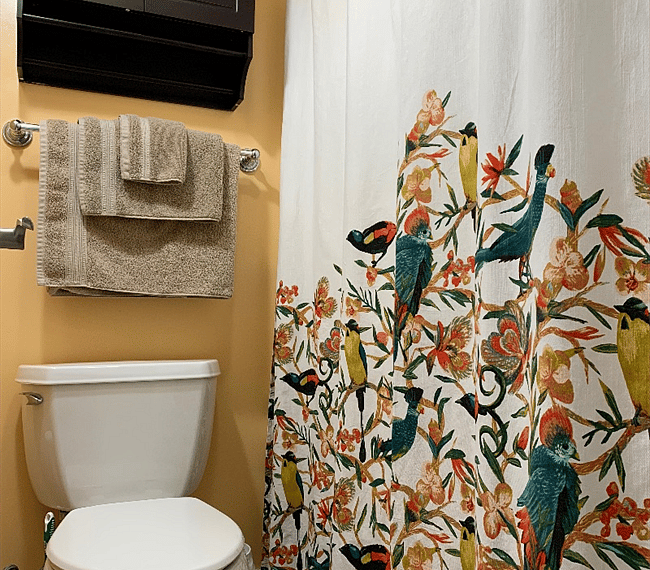 Furnished Finder property 286969_1 photo 17